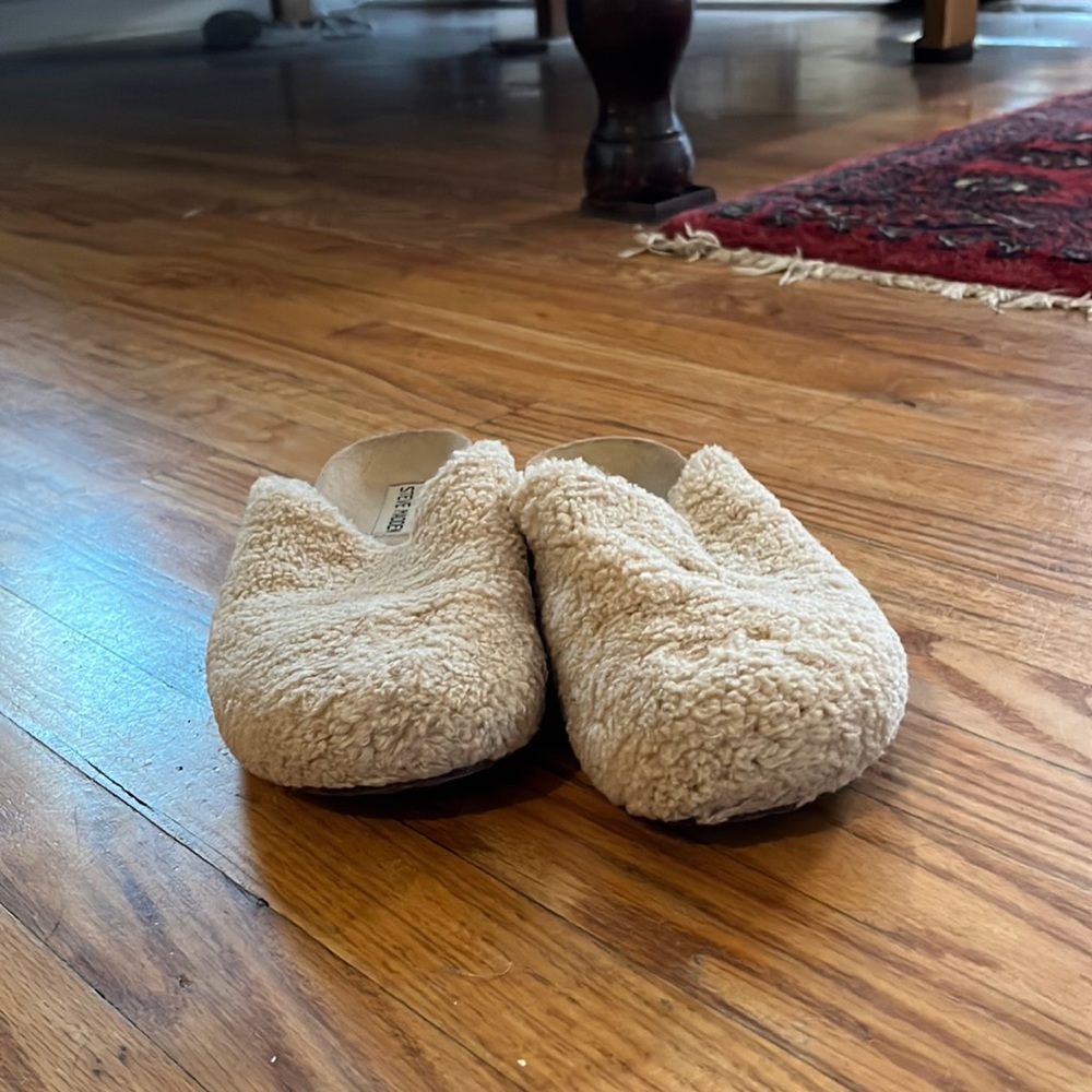 Steve Madden Vesa shearling slipper (clog)